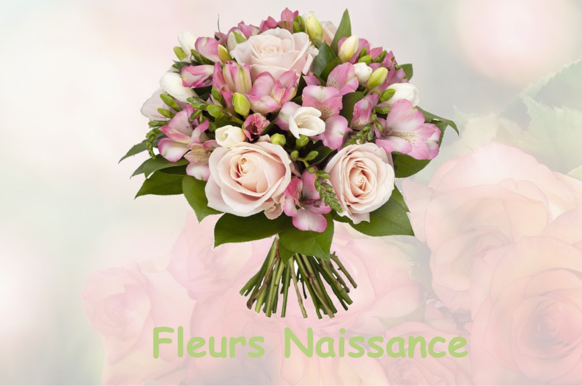 fleurs naissance SAUBRIGUES