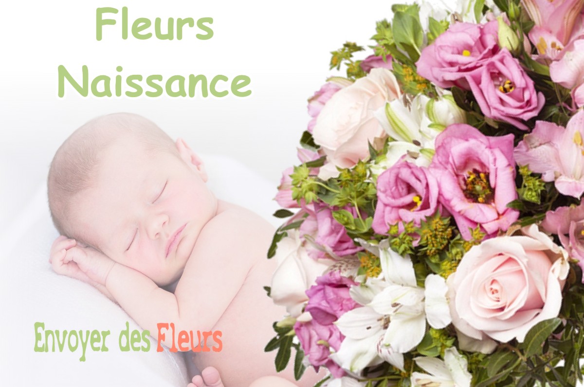 lIVRAISON FLEURS NAISSANCE à SAUBRIGUES