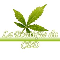 LA BOUTIQUE DU CBD SAUBRIGUES 